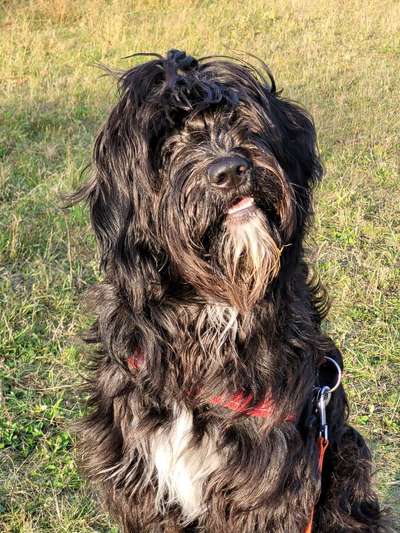 Wie groß waren eure welpen ?-Beitrag-Bild