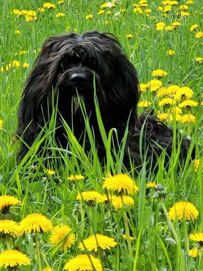Fotowettbewerb Natur-Beitrag-Bild