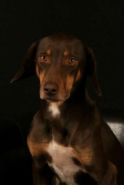 Fotochallange Nr. 57     PORTRÄT.   Beendet!!!!!!!!-Beitrag-Bild