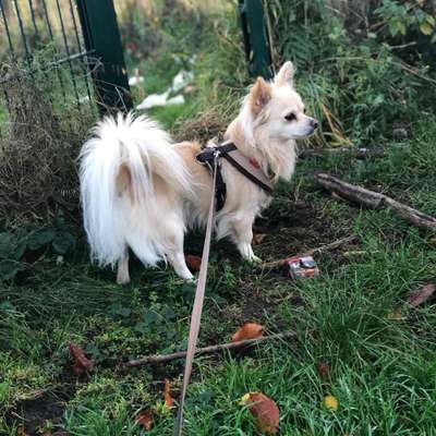 Brigitte's Profilbild