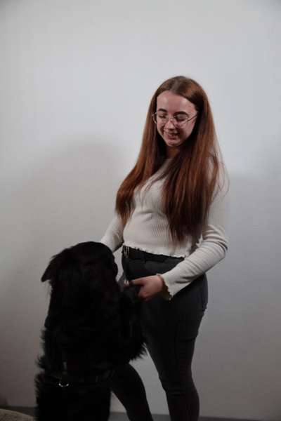 Hundetreffen-Neue Hundefreunde gesucht-Bild