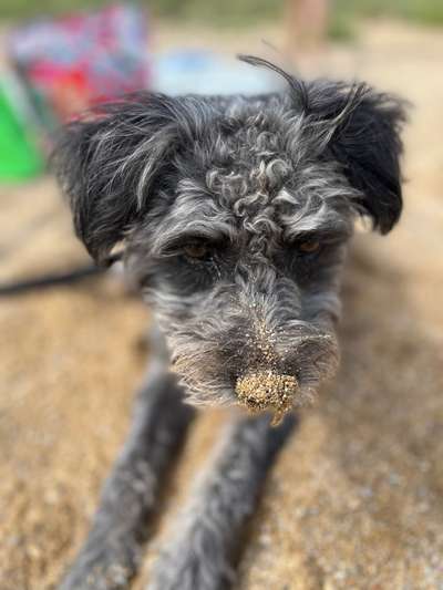 Fotochallenge 129-Beitrag-Bild