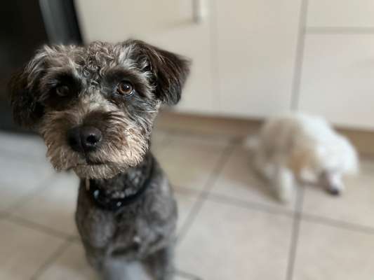 Doppelgänger gesucht !-Beitrag-Bild