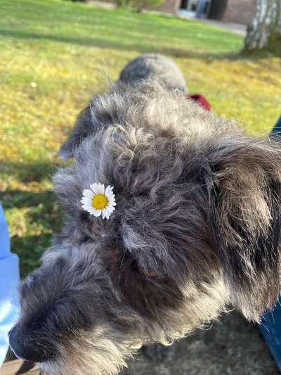 Fotochallange 84-Beitrag-Bild