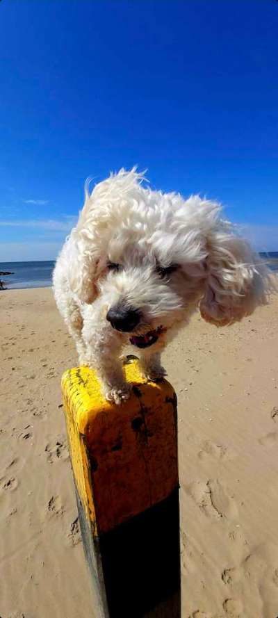 Fotochallange Nr. 57     PORTRÄT.   Beendet!!!!!!!!-Beitrag-Bild