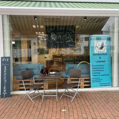 Hundeshops-Dog-Qi-Bild