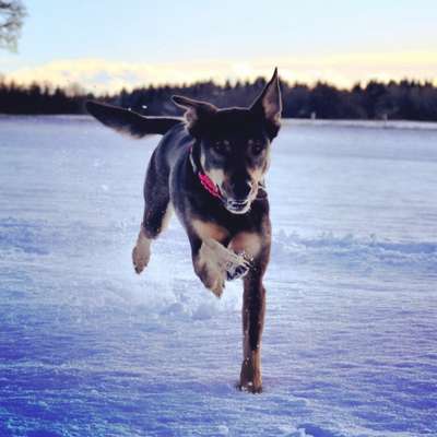 Handy-Foto-Challange Nr.9-Beitrag-Bild