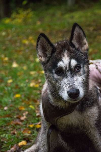 Fotochallange Nr. 57     PORTRÄT.   Beendet!!!!!!!!-Beitrag-Bild