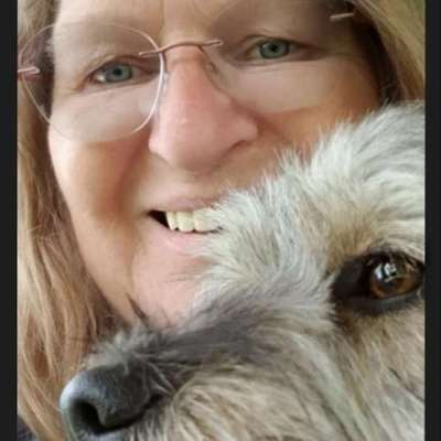 Hundetreffen-Spielkamerad für meine 3 jährige Mischlingshündin