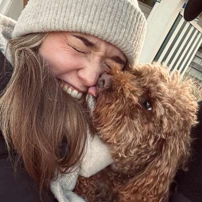 Hundetreffen-Spiel- oder Gassirunde gesucht-Bild