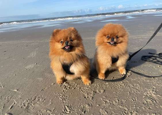 Was hat euch heute gefreut?-Beitrag-Bild