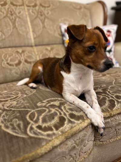 Häufige Vorurteile-Beitrag-Bild