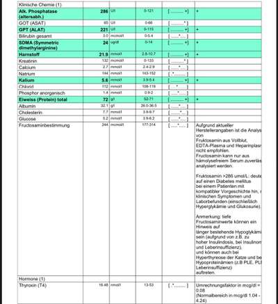 Niereninsuffizienz / Blutbild-Beitrag-Bild