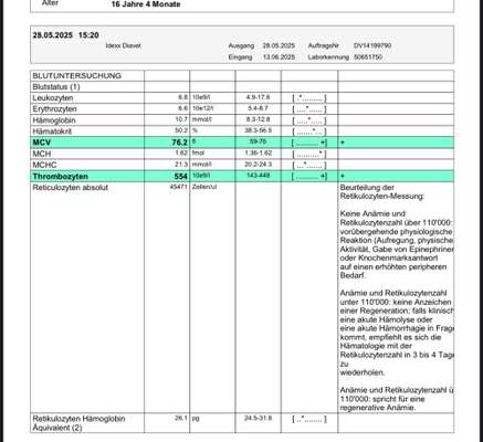 Niereninsuffizienz / Blutbild-Beitrag-Bild