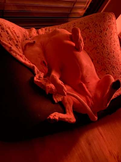 Die unbequemsten und lustigsten Schlafpositionen-Beitrag-Bild