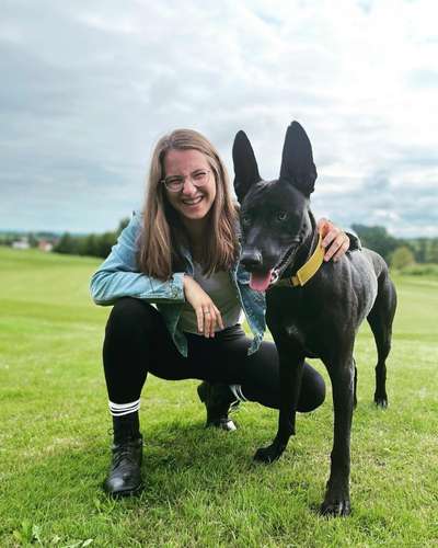 Hundetreffen-Begegnungstraining-Bild