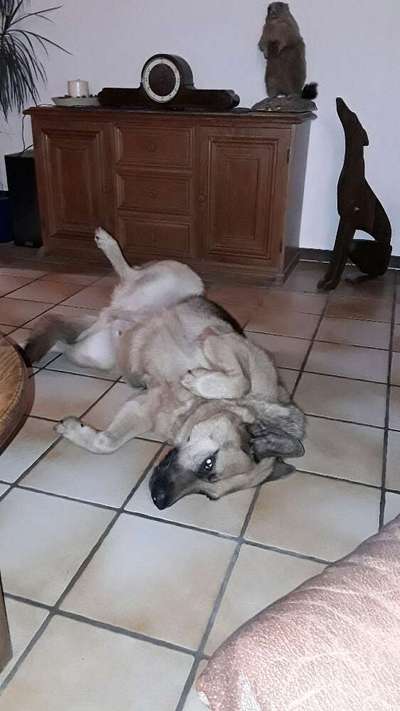 Die unbequemsten und lustigsten Schlafpositionen-Beitrag-Bild