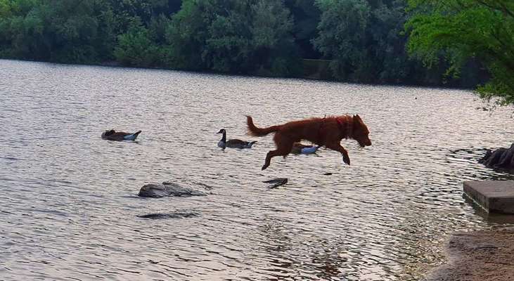 Foto Challenge - BEENDET - bitte aktuelle Challenge nutzen-Beitrag-Bild