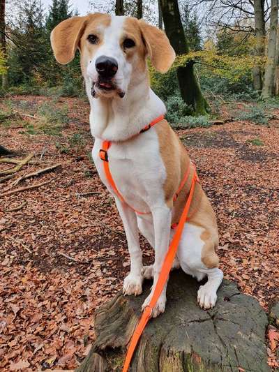 Lieblingsbild-Beitrag-Bild