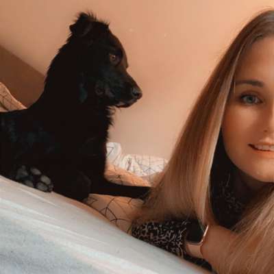 Hundetreffen-Treffen zum Spielen