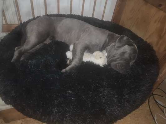 Erfahrung mit Wolkenbett-Beitrag-Bild