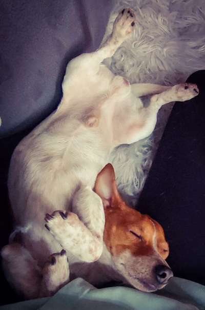 Foto Challange Nr.80-Beitrag-Bild