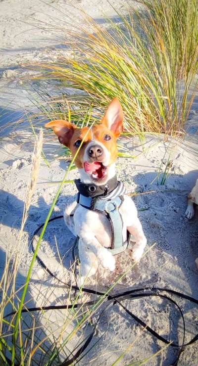 Lieblingsbild :D-Beitrag-Bild