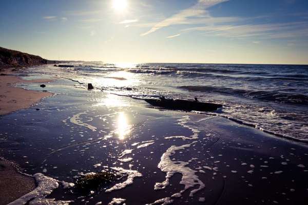 Die wunderschöne Welt mit Hund.-Beitrag-Bild