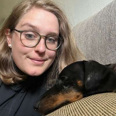 Hundetreffen-Hundekontakte üben