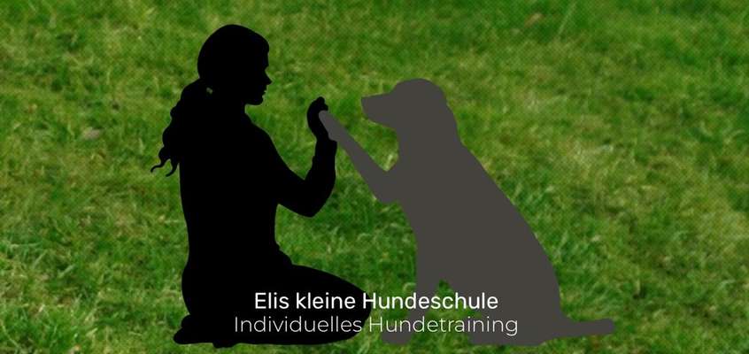 %{de_profession_title}-Einzelstunde Hundetraining-Bild