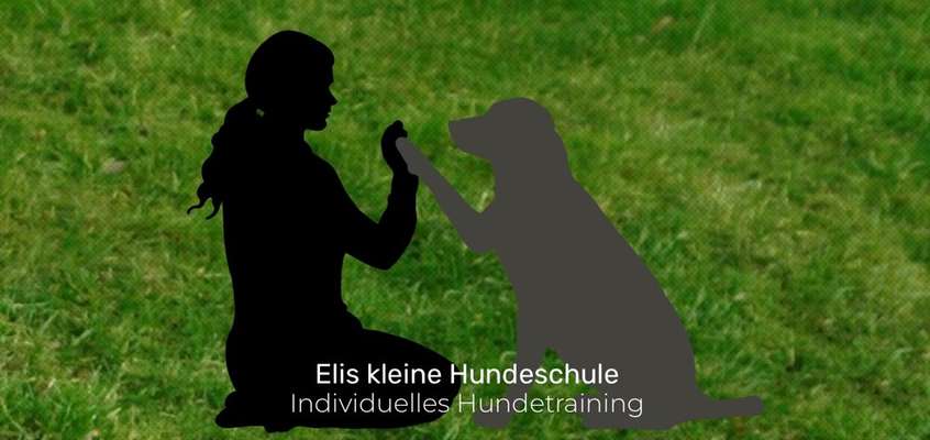 Giftköder-Einzelstunde Hundetraining-Bild