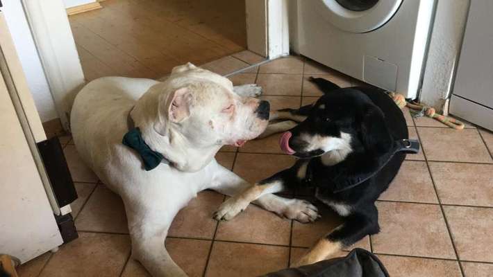 Challenge 30  Freundschaft-Beitrag-Bild