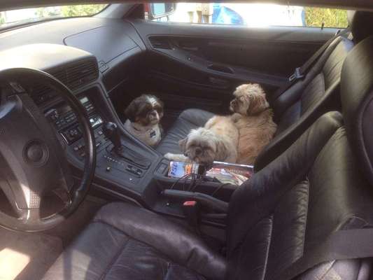 Welches Auto ist geeignet?-Beitrag-Bild