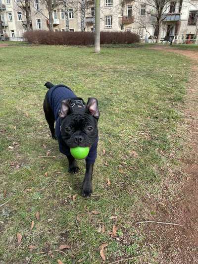 Fotowettbewerb-Beitrag-Bild