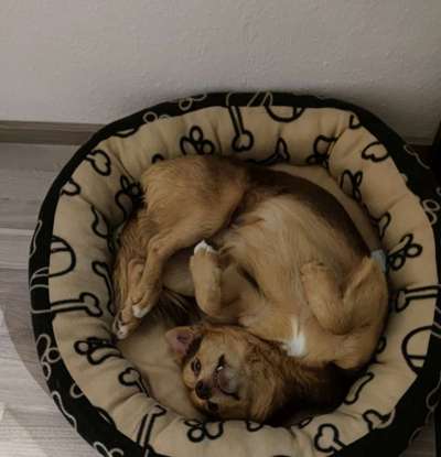 CHALLENGE NR. 34 - Liege-/Schlafpositionen-Beitrag-Bild