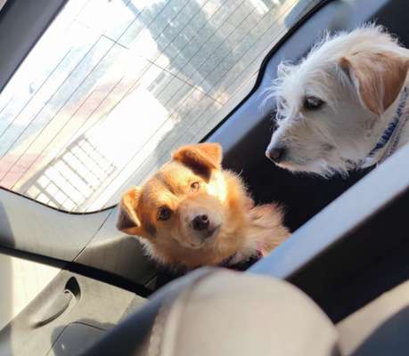 CHALLENGE NR. 18 - ON TOUR-Beitrag-Bild