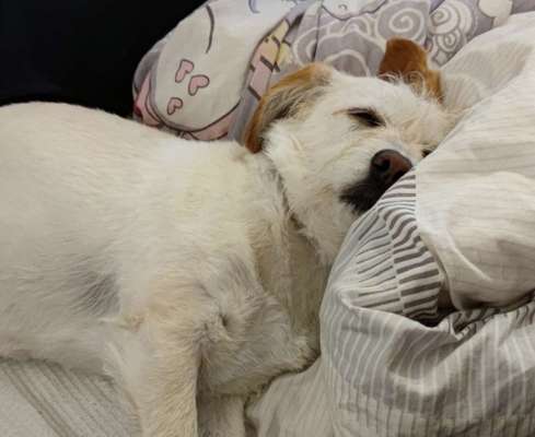 CHALLENGE NR. 34 - Liege-/Schlafpositionen-Beitrag-Bild