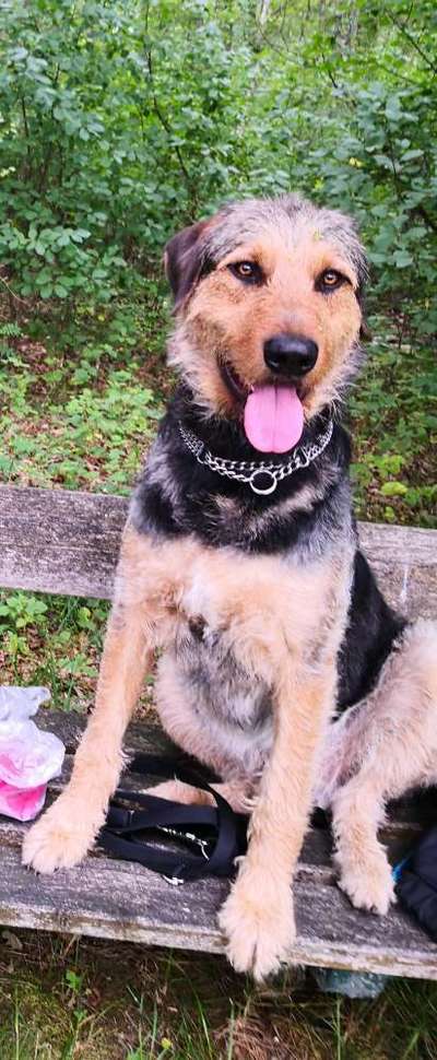 IW-Besitzer zum Austausch gesucht! Am besten im Raum HD-Beitrag-Bild