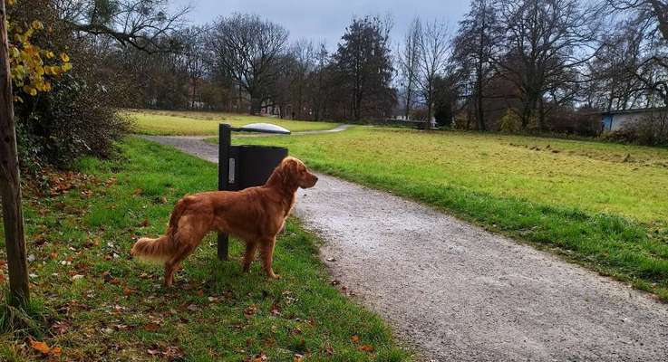 Größe eures Goldies-Beitrag-Bild
