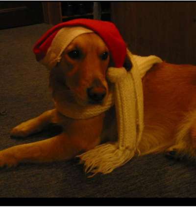 Fotochallenge Nr. 56 - geliebte Senioren-Beitrag-Bild