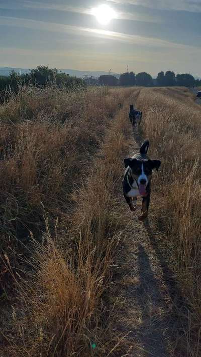 Fotochallenge Nr. 94 It's summer time-Beitrag-Bild