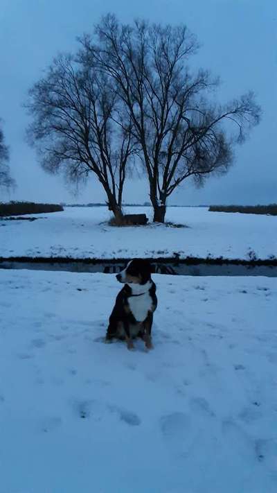 Fotochallenge Nr. 62 Romantische Momente-Beitrag-Bild