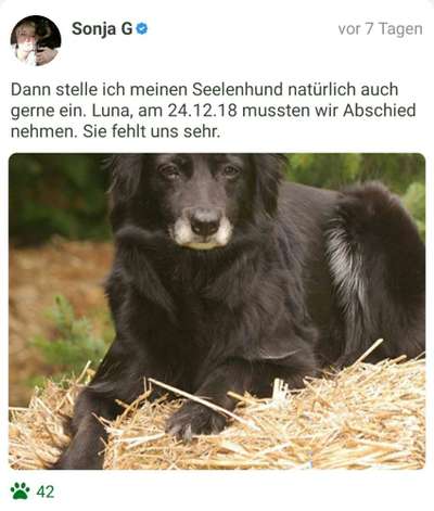 Fotochallenge Nr. 56 - geliebte Senioren-Beitrag-Bild