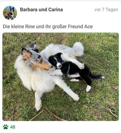 FOTOCHALLENGE 68: Dein Hund und sein bester Freund-Beitrag-Bild