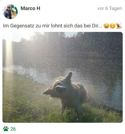 Fotochallenge Nummer 49: Schüttel dich-Beitrag-Bild