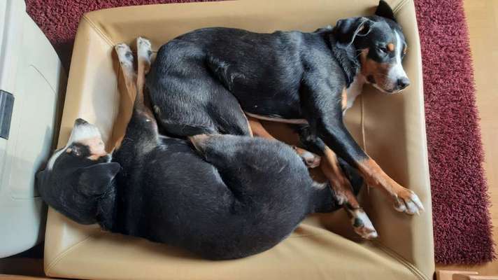 FOTO-Challenge  NR. 91: Die pure Entspannung-Beitrag-Bild