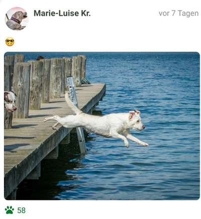 FOTOCHALLANGE NR.71 BADEFREUDE-Beitrag-Bild