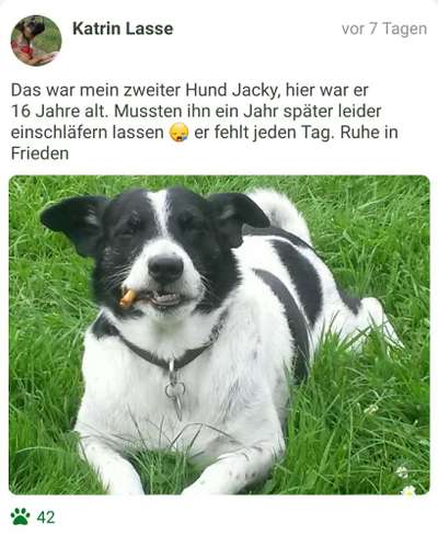 Fotochallenge Nr. 56 - geliebte Senioren-Beitrag-Bild