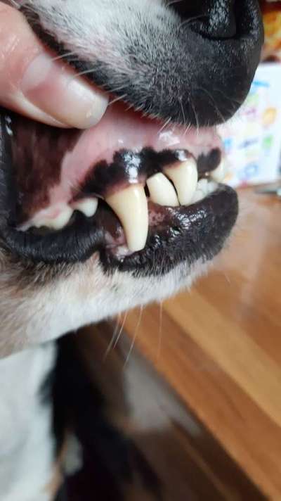 Coole Spielzeuge ?-Beitrag-Bild