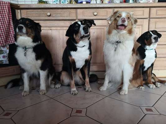 Fotochallenge 69-Beitrag-Bild